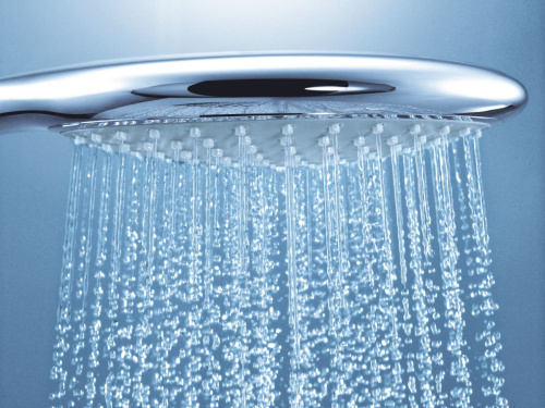 Душевая лейка Grohe Rainshower Solo 27272000 фото 2