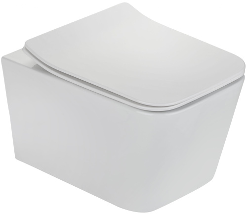 23 460 руб. Унитаз подвесной TEKA Formentera 117320000 rimless, с микролифтом фото 2 Унитаз подвесной TEKA Formentera 117320000 rimless, с микролифтом фото 2