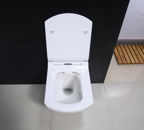 2 700 руб. Крышка-сиденье BelBagno Carina BB1077SC с микролифтом фото 3 Крышка-сиденье BelBagno Carina BB1077SC с микролифтом фото 3