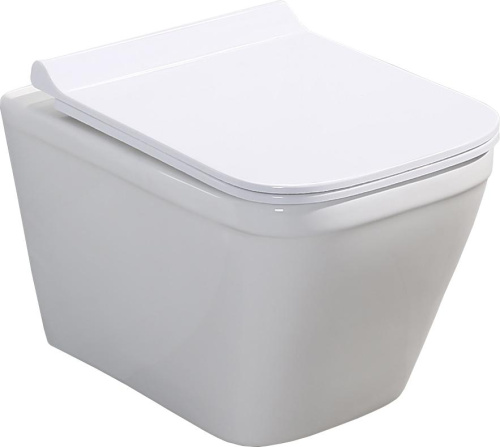 1 930 руб. Крышка-сиденье BelBagno Dory BB2138SC с микролифтом фото 6 Крышка-сиденье BelBagno Dory BB2138SC с микролифтом фото 6