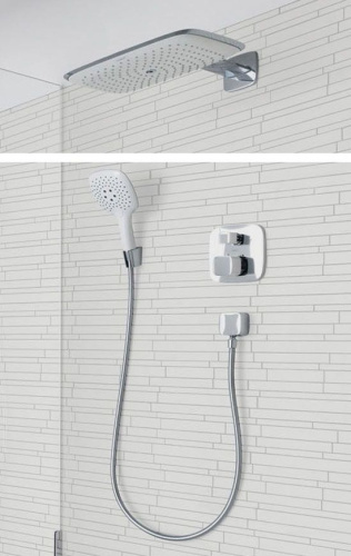 Душевая лейка Hansgrohe PuraVida 28557400 фото 4