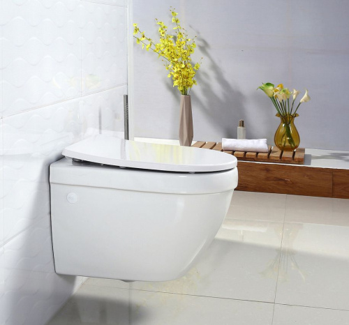 Унитаз подвесной BelBagno Cento-r BB509CH фото 11