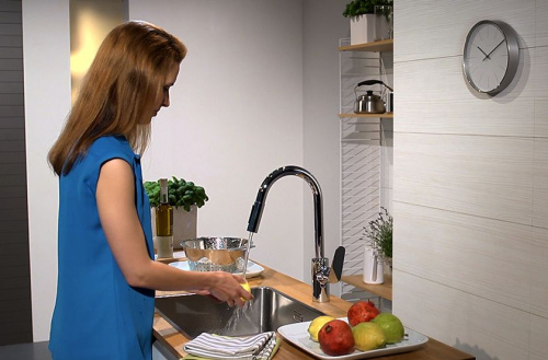 Смеситель Hansgrohe Focus 31815000 для кухонной мойки фото 2