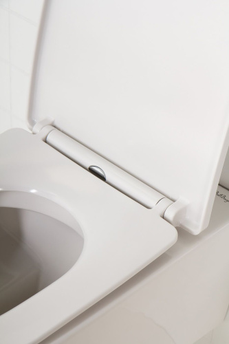 2 940 руб. Крышка-сиденье BelBagno BB2031SC с микролифтом, петли хром фото 7 Крышка-сиденье BelBagno BB2031SC с микролифтом, петли хром фото 7