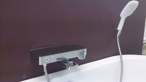 Термостат Hansgrohe Ecostat Select 13151000 для ванны с душем фото 3