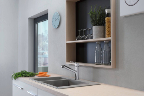 Смеситель Hansgrohe Focus M43 71842000 для кухонной мойки, хром фото 2