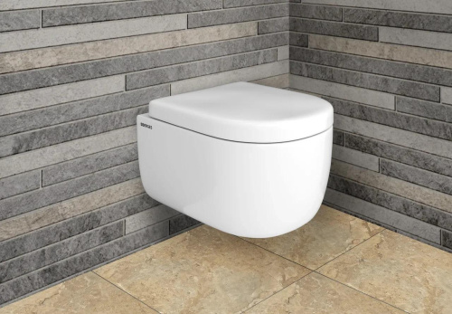 Унитаз подвесной Berges Wasserhaus Ego Rimless 082122 с микролифтом фото 5