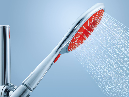 Душевая лейка Grohe Rainshower Icon 27443000 фото 2