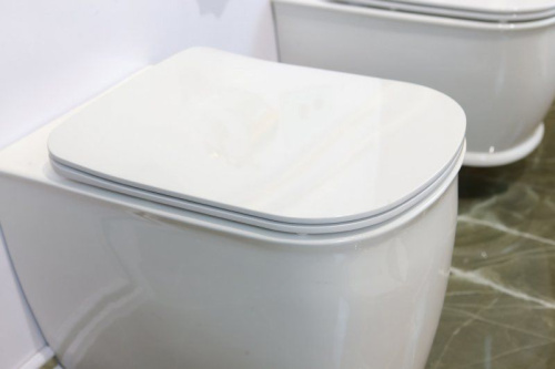 Унитаз приставной BelBagno Prado BB10150CB с микролифтом фото 3